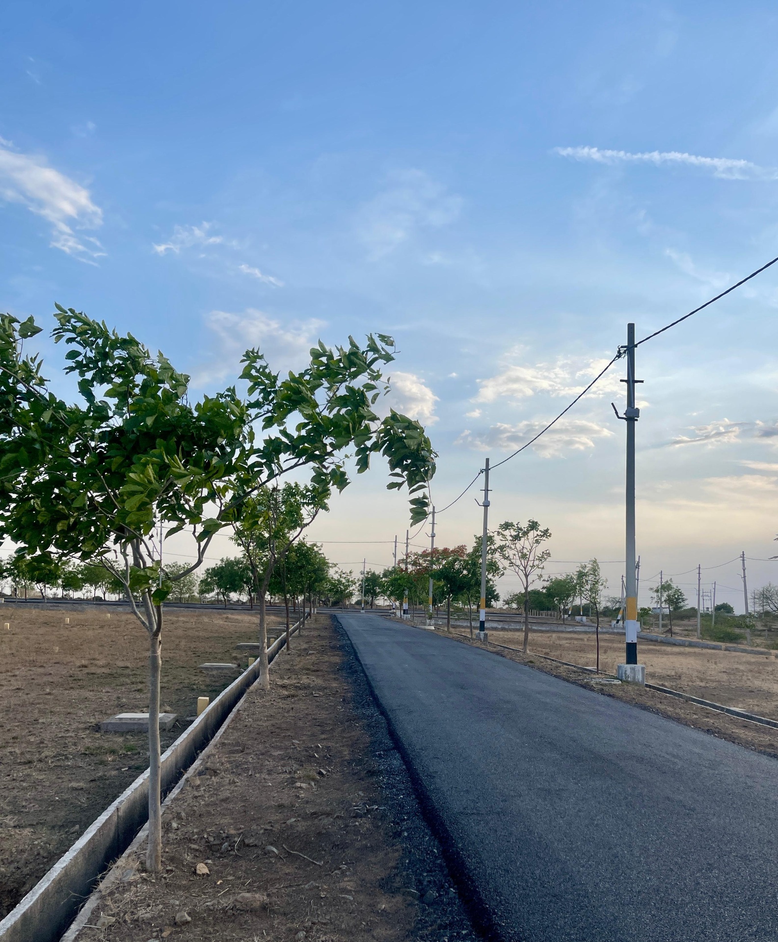 Tree-lined internal road at dusk with kerb-marked plot boundaries at Sri Krishna Valley
