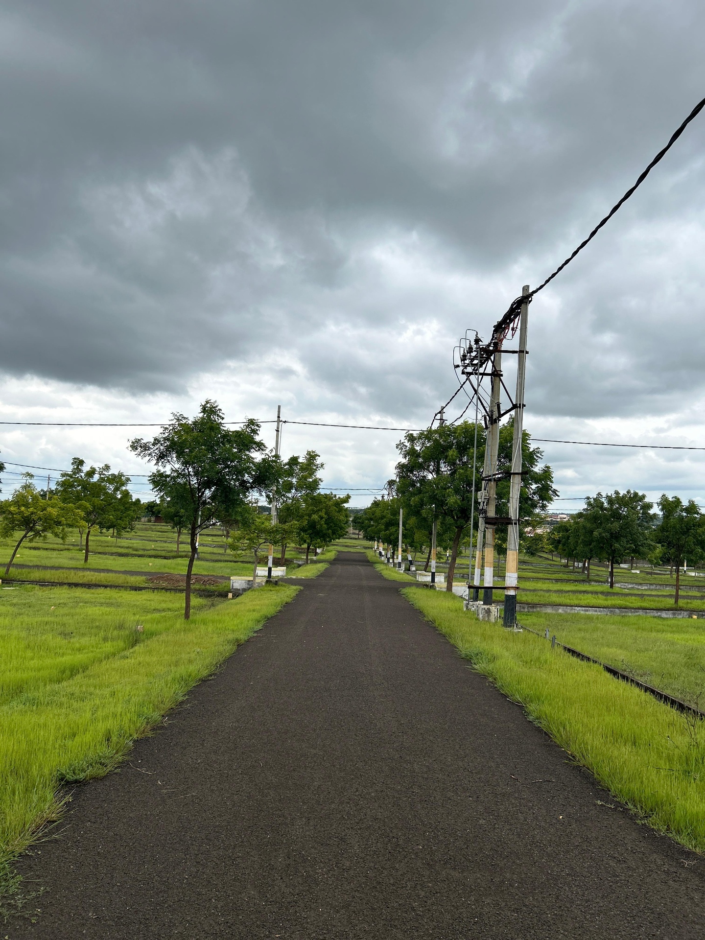 Black-top internal road with avenue plantation and HESCOM-spec electrification at Sri Krishna Valley