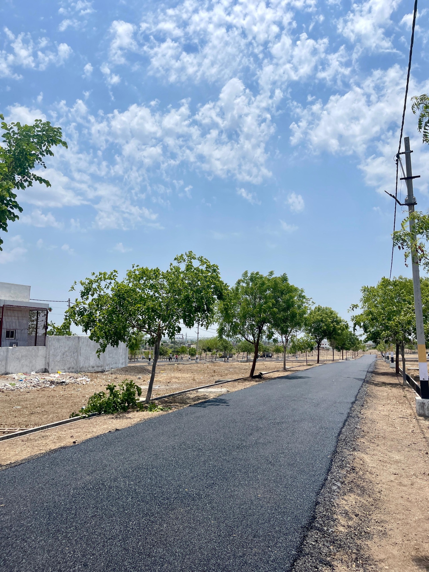 Freshly laid tar road with young avenue trees and boundary walls at Sri Krishna Valley
