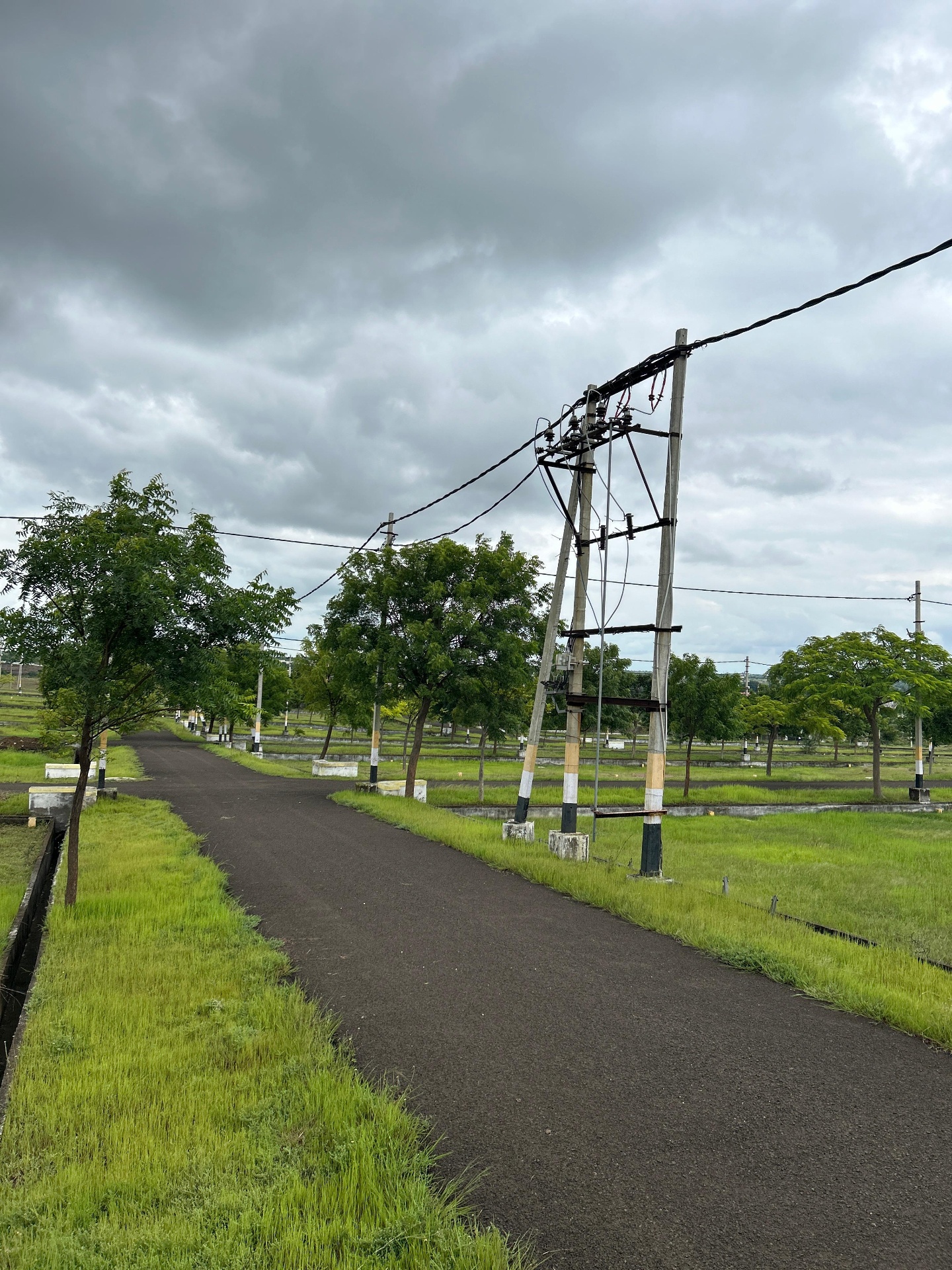 Tree-lined internal road running between demarcated plots at Sri Krishna Valley